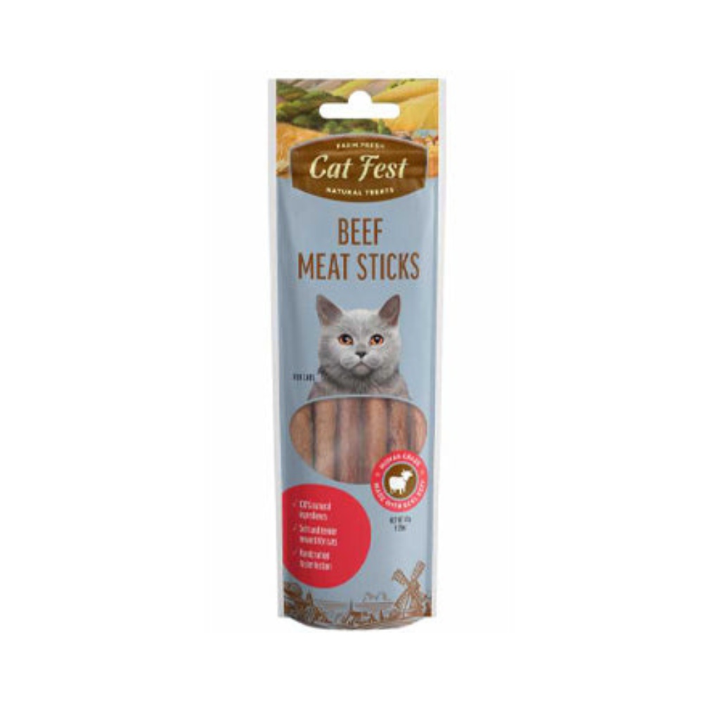 Cat, Cat Fest, Treats