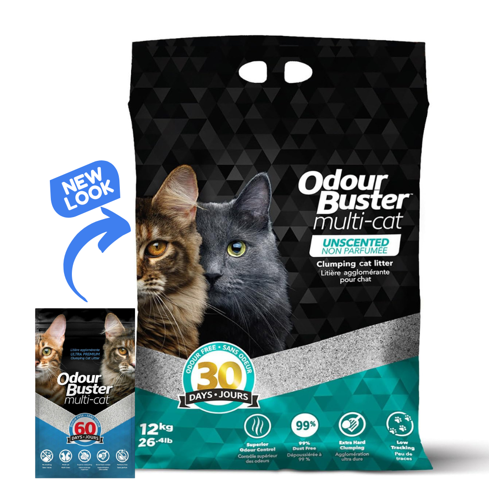 Cat, Cat Litter, Odour Buster, Sand Litter