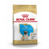 Dog, Dry Food, Royal Canin