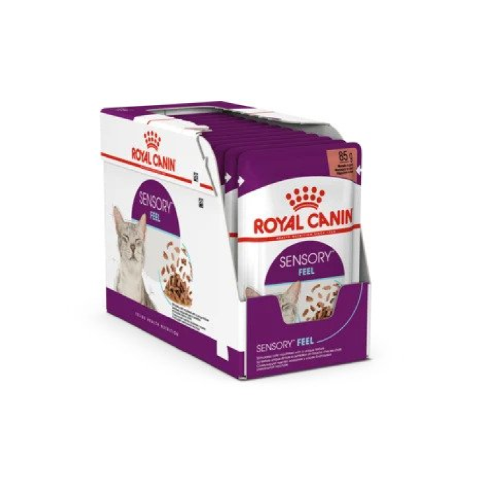 Cat, Royal Canin, Wet Food